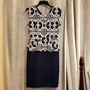Navy Blue and White Dress
